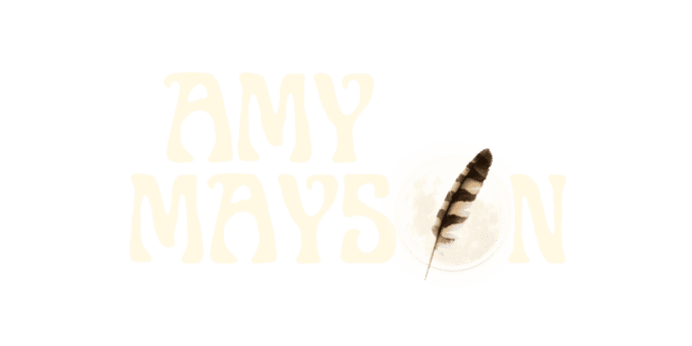 Amy & The Calamities
